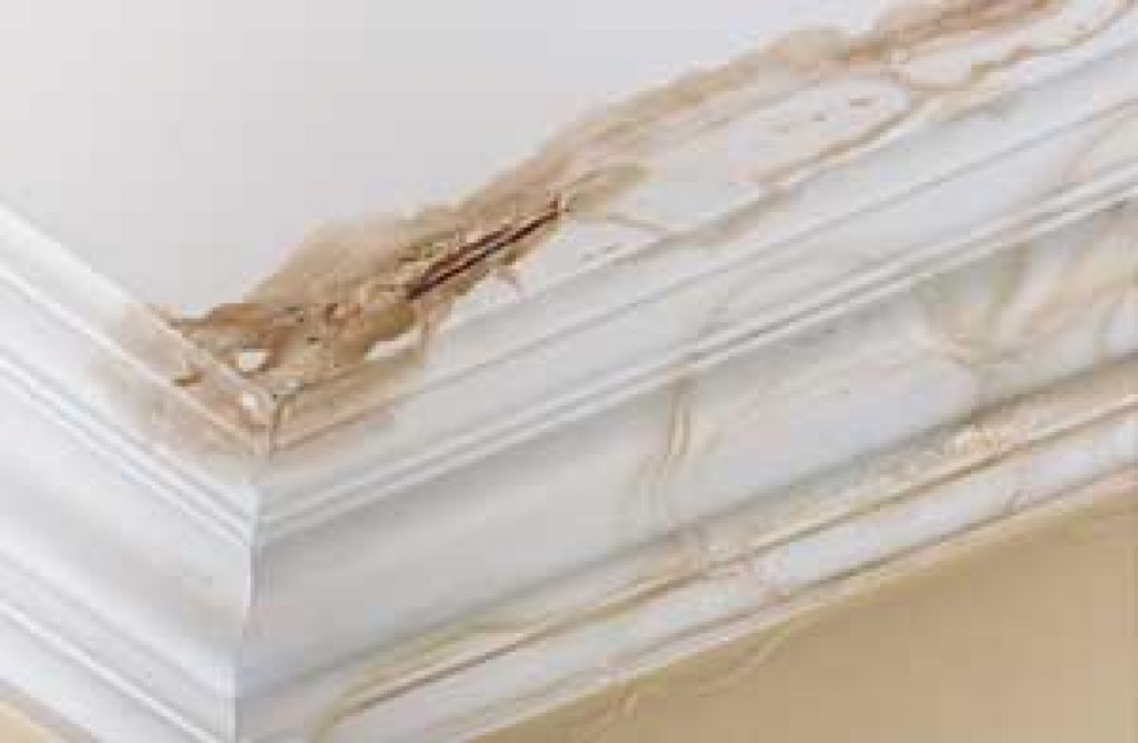 img3.jpg