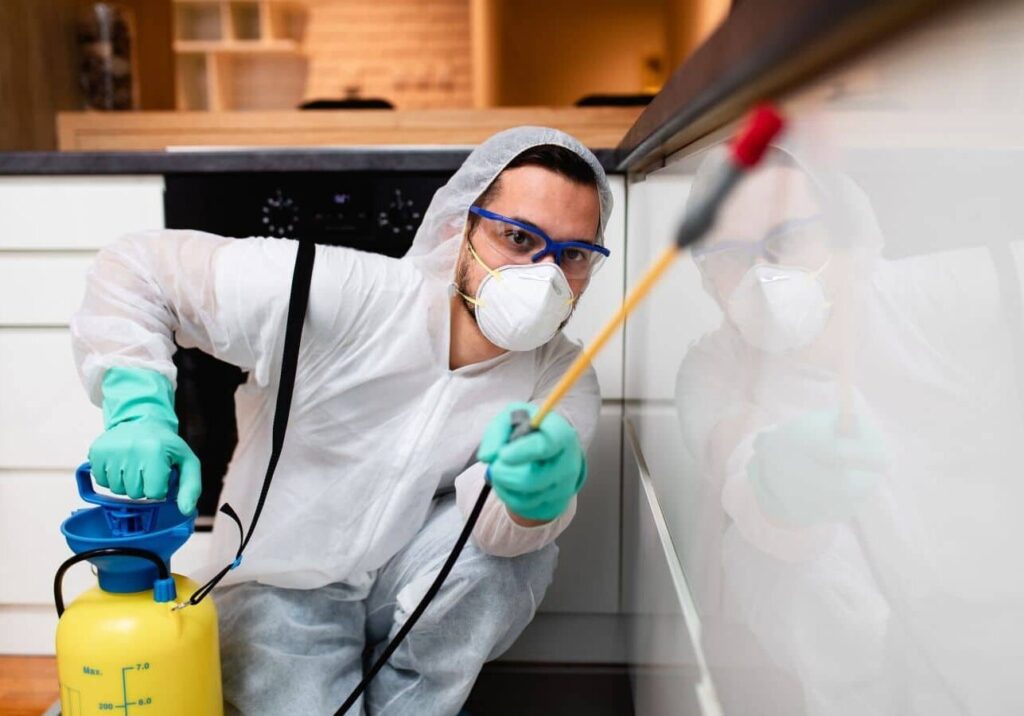 imgi_3_Benefits-of-Choosing-CURA-Termite-and-Pest-Control-in-Costa-Mesa-CA-landscape-a9e4c75319cccb03064c5a4aacfed851-rw9cedhmsnbk.jpg