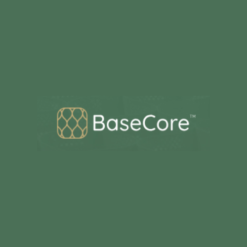 Base Core 500 .png