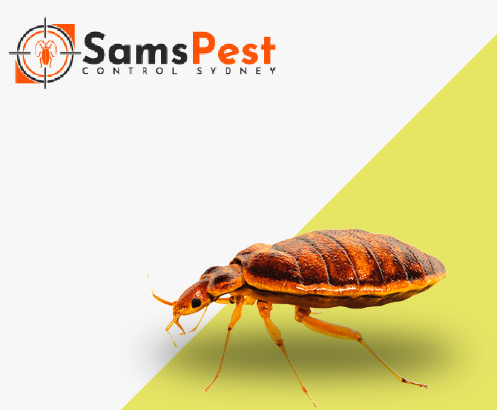 Sams Pest Control Sydney (1).png