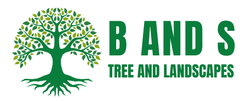 B-and-S-Logo.png