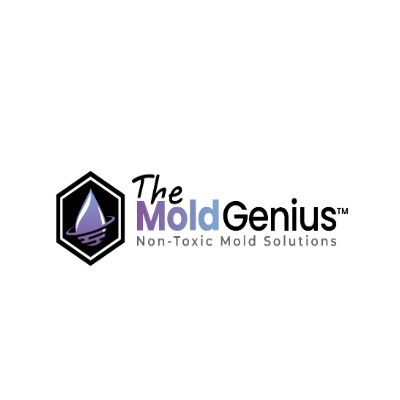 themoldgenius.com - Attic Mold Removal.jpg