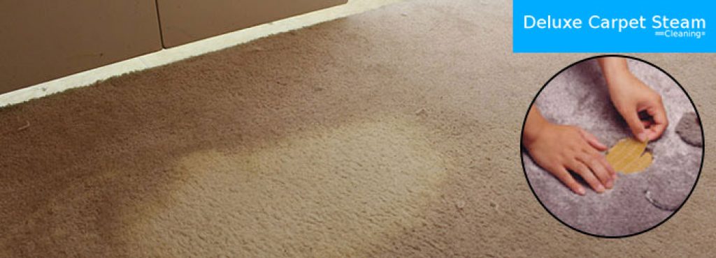Professional-Carpet-Repair-Brisbane-2.jpg
