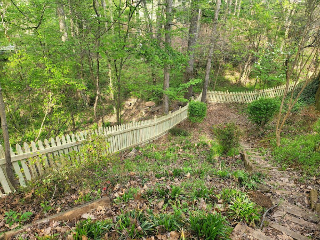 Bravo Fence 3.jpg