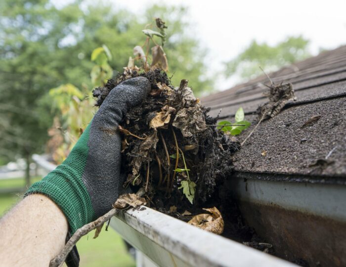 Gutter Cleaning Service.jpg