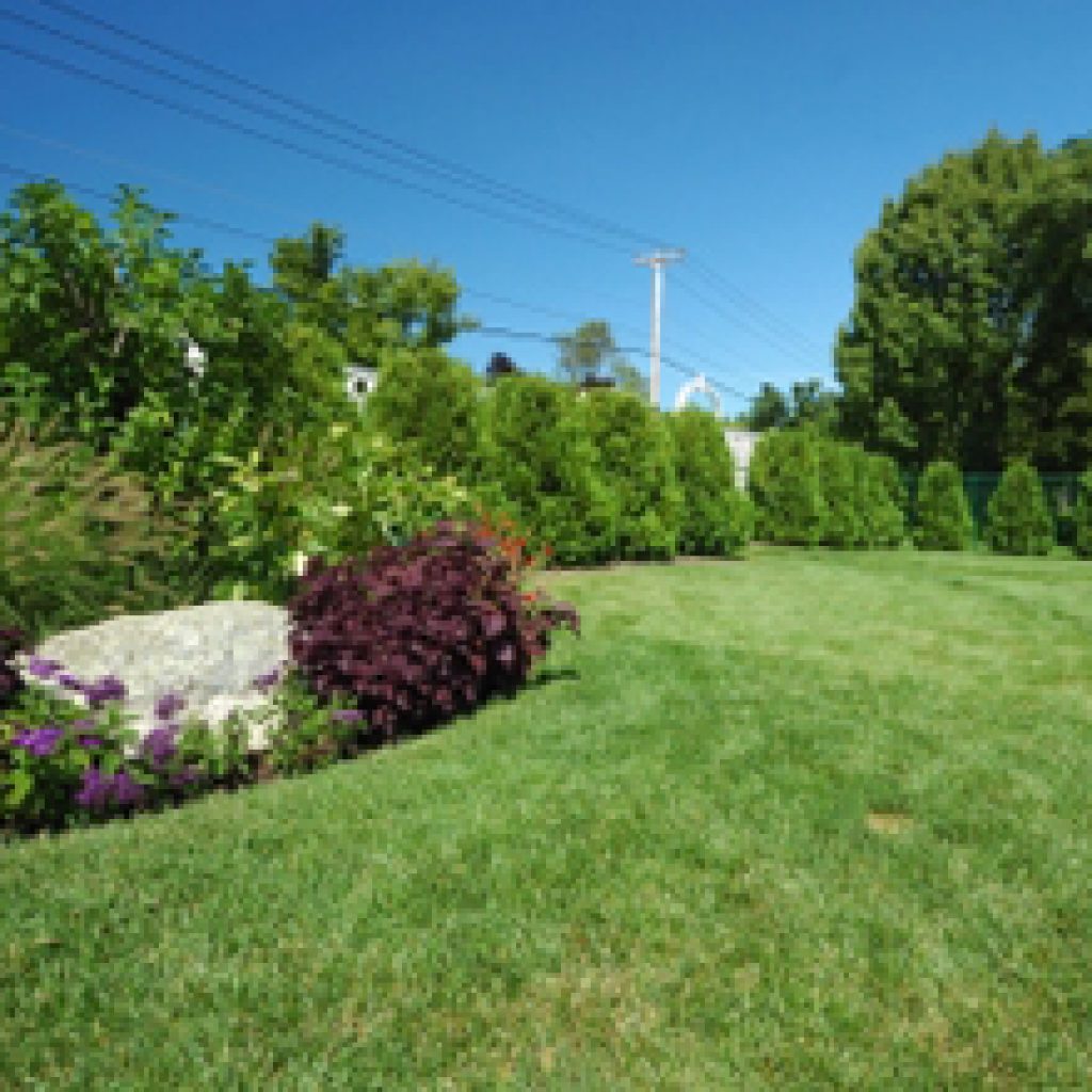 Landscaping2.jpeg