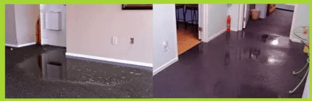 Capture 1.PNG