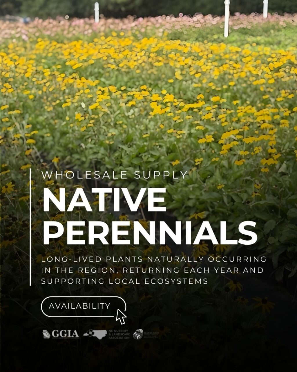 Baker Environmental Nursery 2.jpg