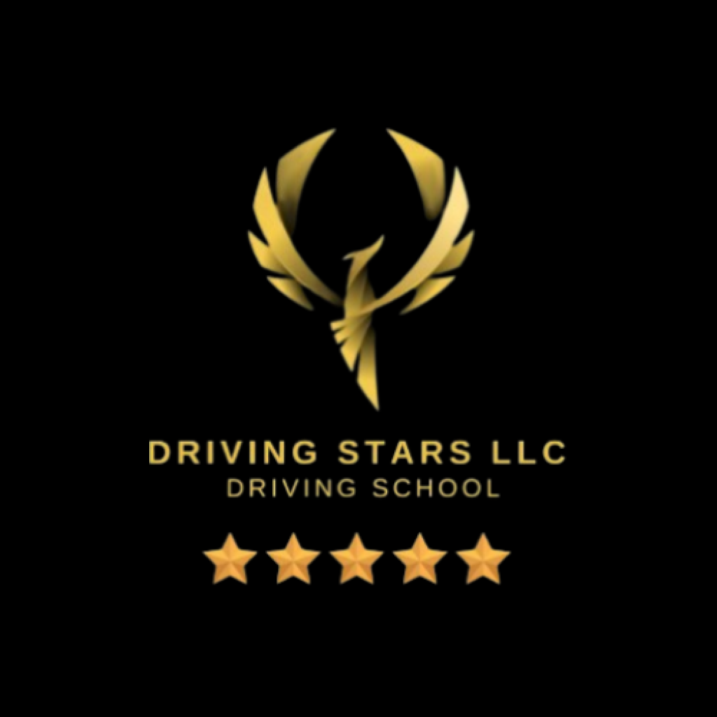 Driving Stars LLC ( Logo ).png