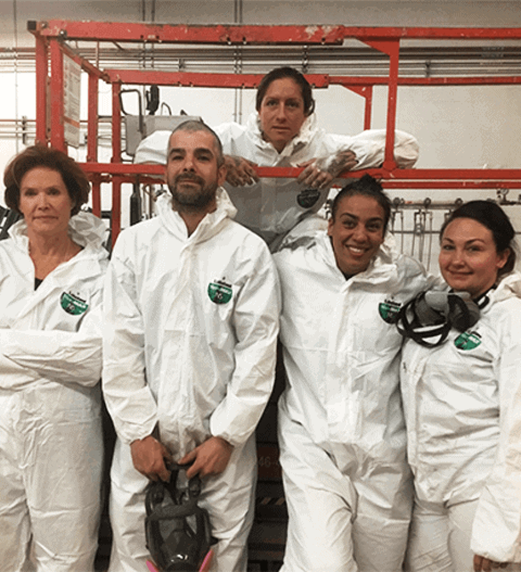 Absolute Mold Remediation Ltd. about1.png