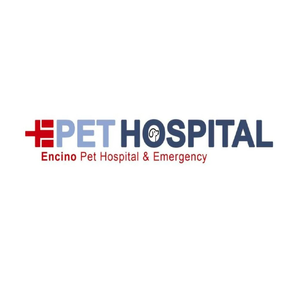 logo.jpeg