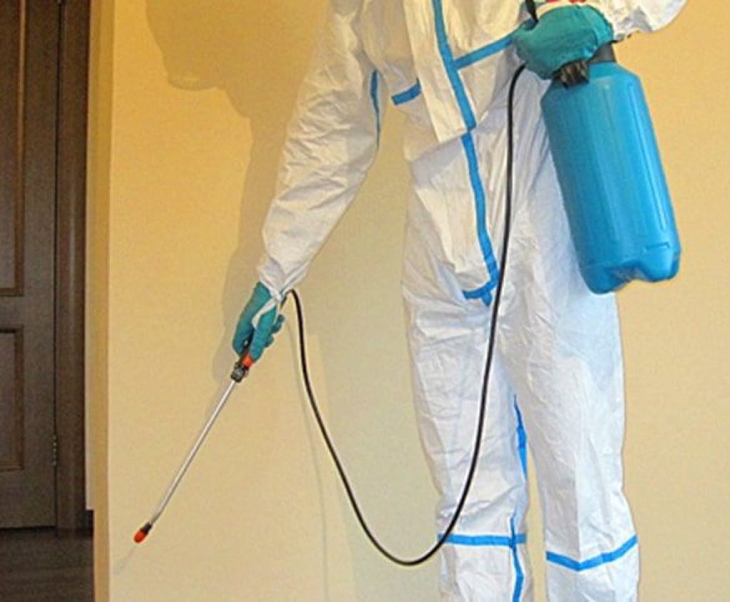 ca914b05e96763f0103cc9770434e71d.Pest-Control-Ringwood.jpg