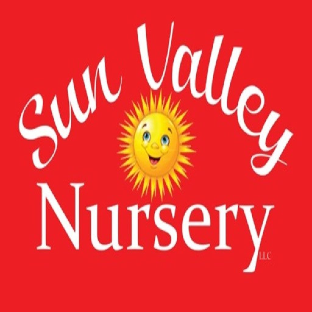 AAAA.sunvalley.jpg