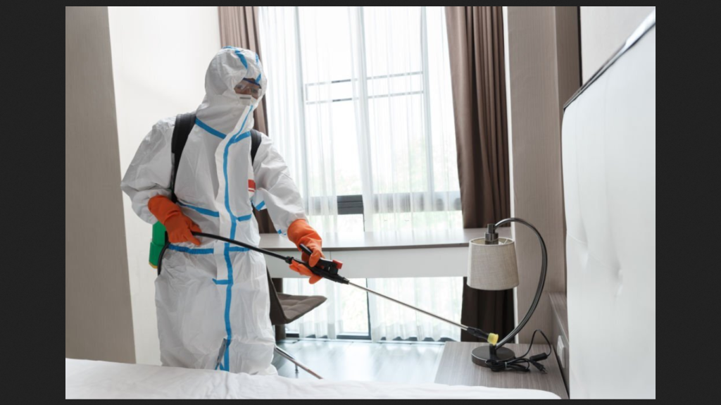 Rodent Pest Control Sydney