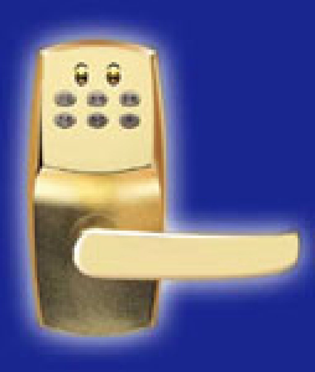 Item51_S_602.jpg