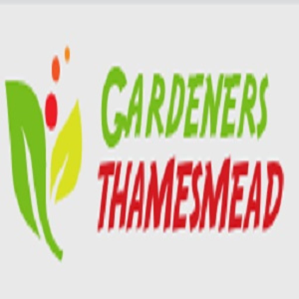 Logo.jpg
