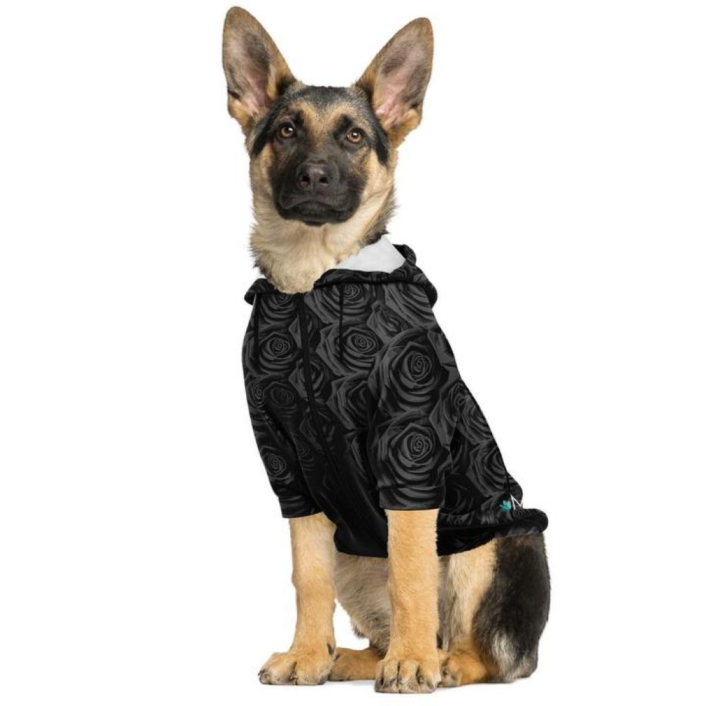 Dog Hoodie.jpg