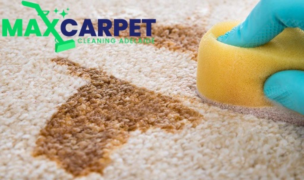 MAX carpet Cleaning Adelaide (10).jpg