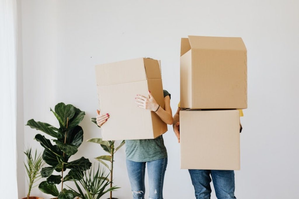 removal (1).jpg