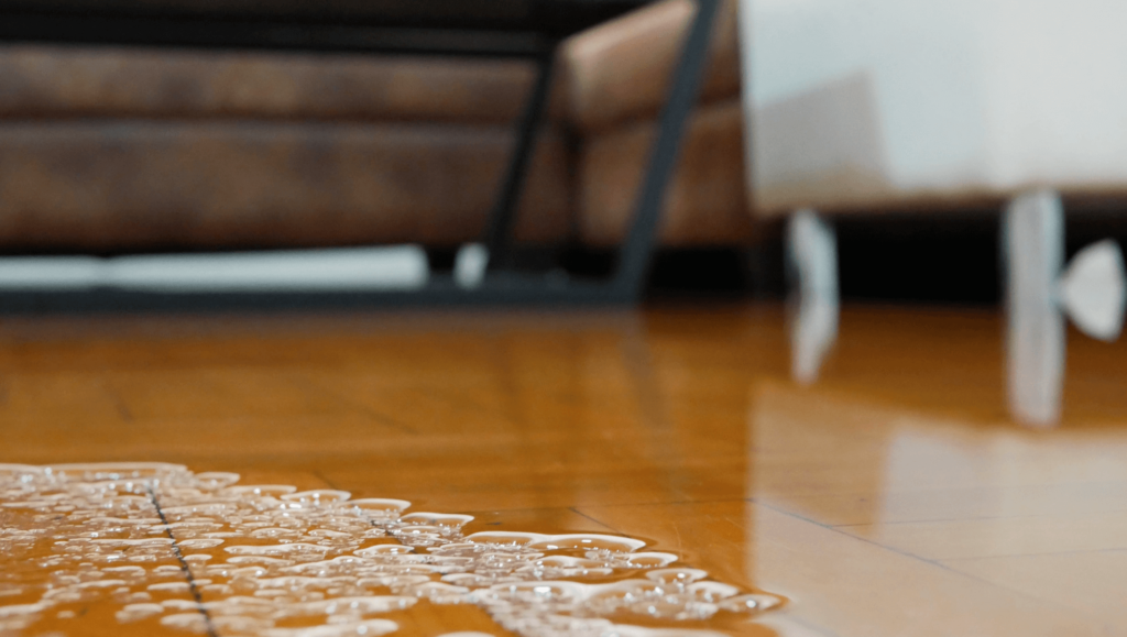 AdobeStock_289999176@2x.png