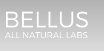 BS LOGO.PNG