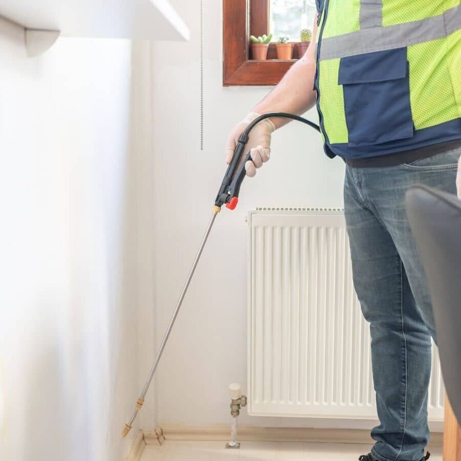 imgi_7_Why-Choose-CURA-Termite-and-Pest-Control-in-Huntington-Beach-CA-for-Your-Pest-Control-Needs-square-929b6ba5ac5ed4a61382e2a15c9491a9-elkxtdsgh0vm.jpeg