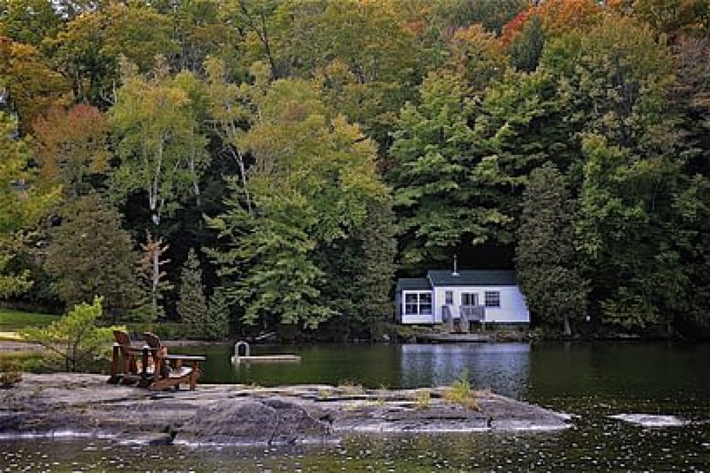bigstock-Glan-Orchard-Ontario-Canada-368217553.jpg