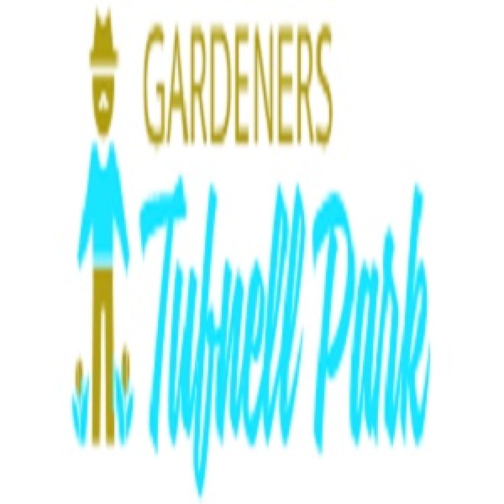 logo.jpg