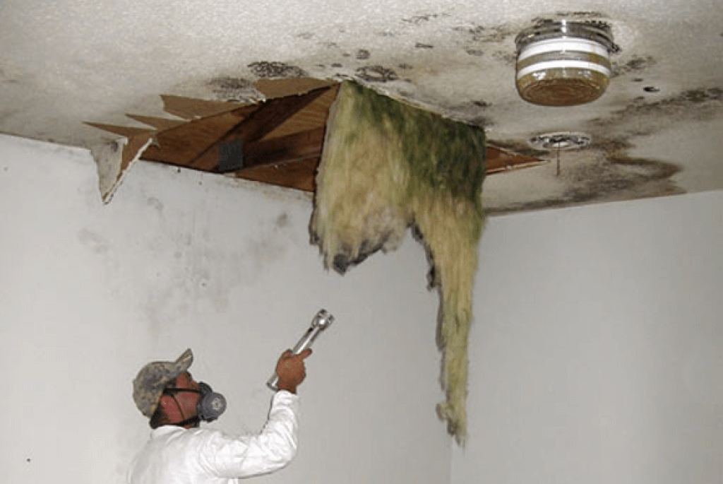 Ceiling-Mold-Inspection.png