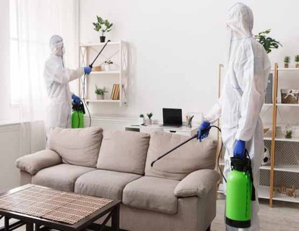 pest-control-.jpg