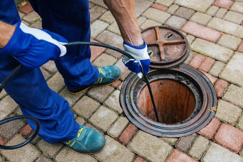 imgi_6_how-often-should-you-clean-your-drains-1024x683-1.jpeg