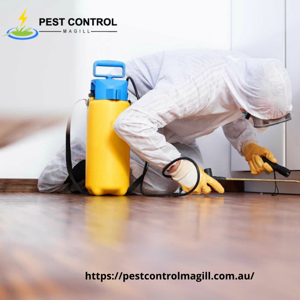 https___pestcontrolmagill.com.au_ (3).png