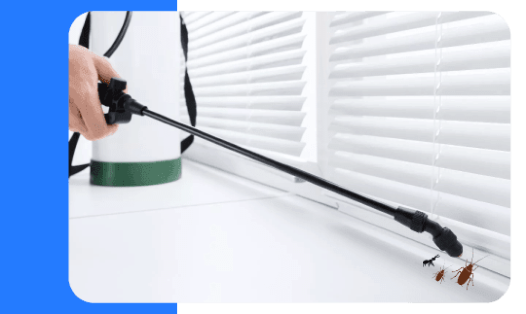 Expert-Pest-Control-Brisbane.png