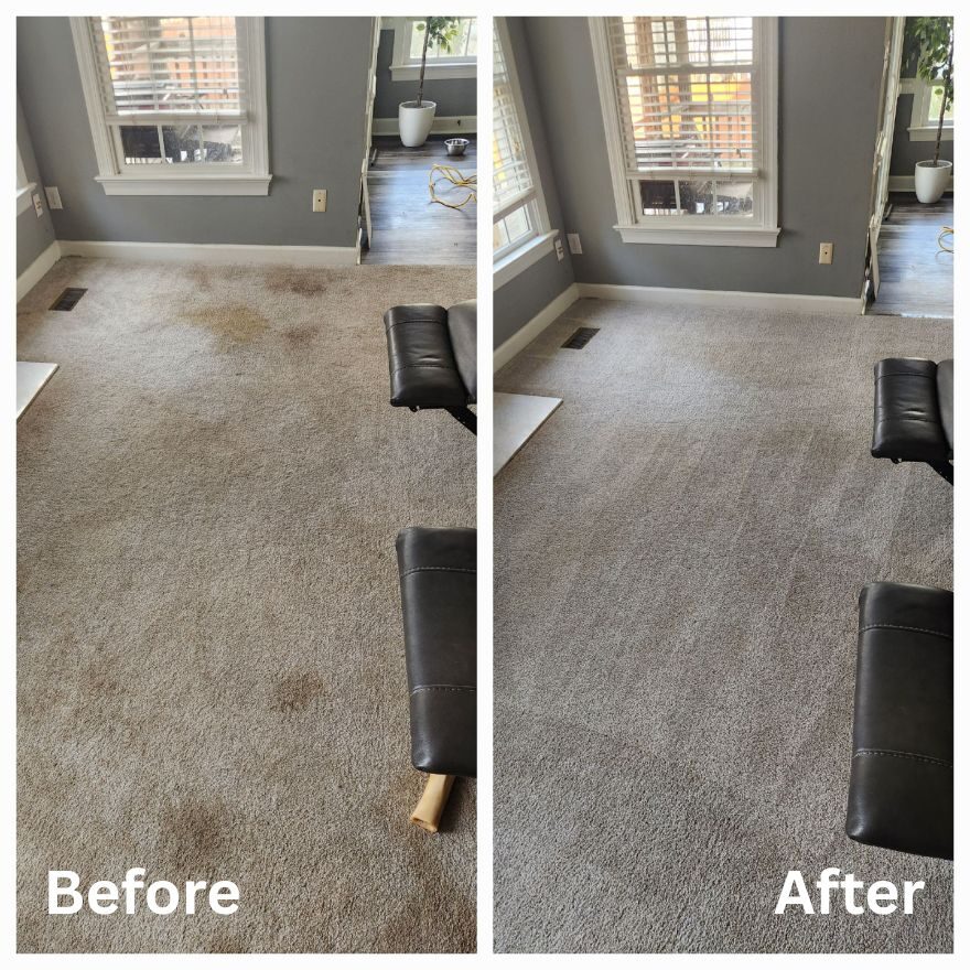 top-rated-house-carpet-cleaning.jpg