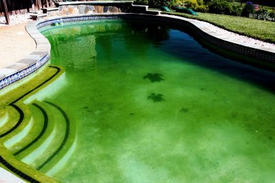 Green-to-Clean.jpg