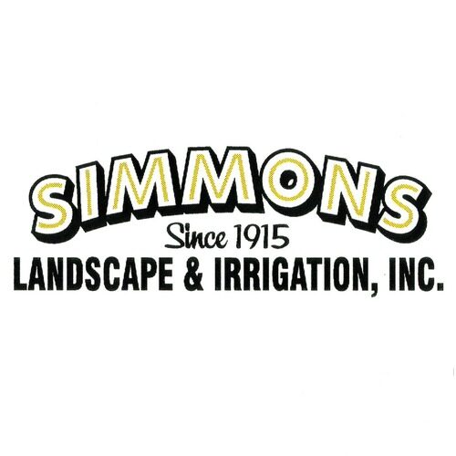 Simmons.jpg