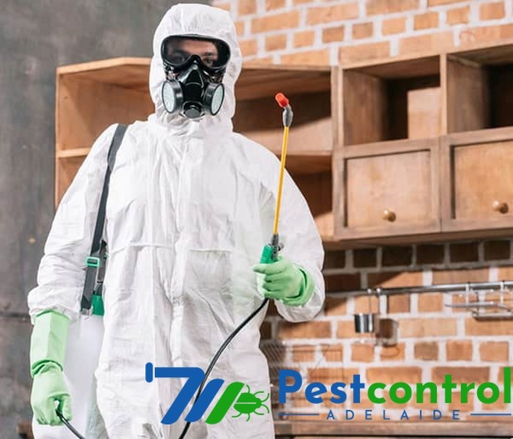 Ant Control Service Adelaide (6).jpg