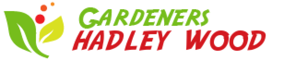 logo.png