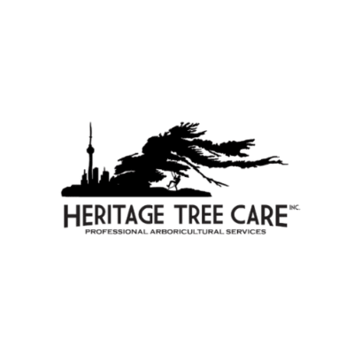 TB logo (8).png