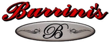 Burrini's & Sons Contracting LLC Logo.png