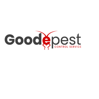 logo (4).png