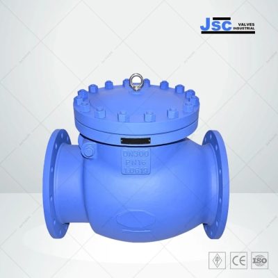 din-3356-swing-check-valve-1-0619-dn300-pn16-bb-rf_w6Zh1m-750x750.webp.jpg