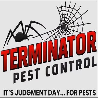 Screenshot (4)400.jpg