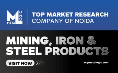 Market Research Companies in Noida.jpeg