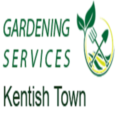 logo.png