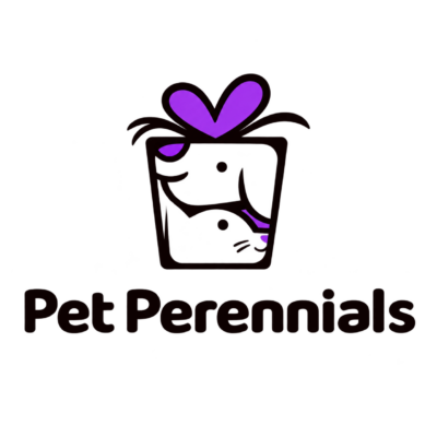 ChatGPT Image Aug 19, 2026, 11_05_18 AM.png