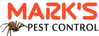 logo-1 (1).png