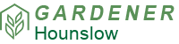 logo_ieg.png
