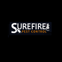 pimage-116295-327-photo (1).png