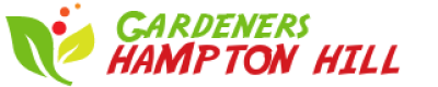 logo.png